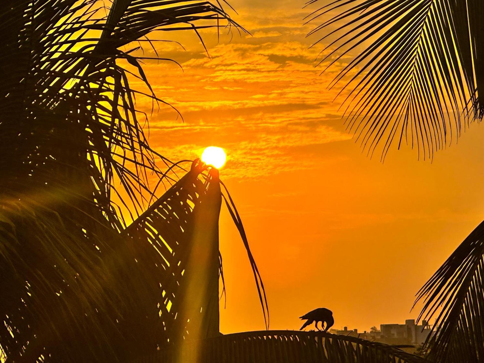 New Panda House Hotell Galle Exteriör bild